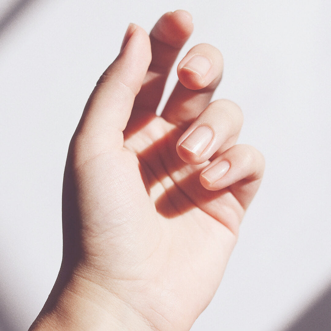 Shellac Removal